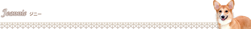 ジニー