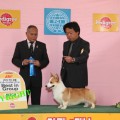 IMG_9414のコピー