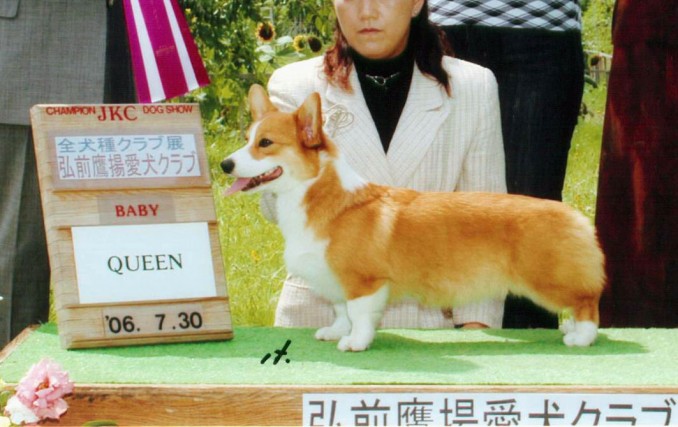 852_1_baby luce.jpeg のコピー