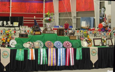 2013 PWCCA 1
