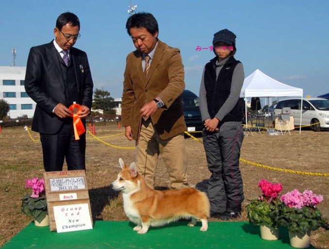 DSC_0039 のコピー