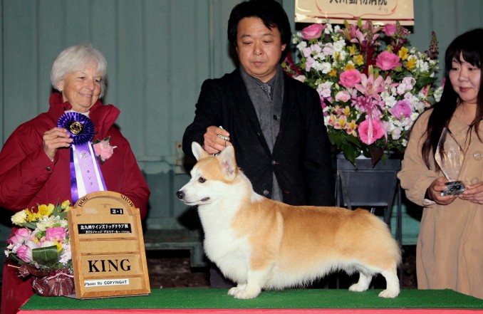 JAKE KING 2014 2.1