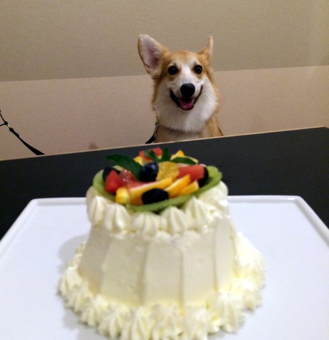 ケイ君
